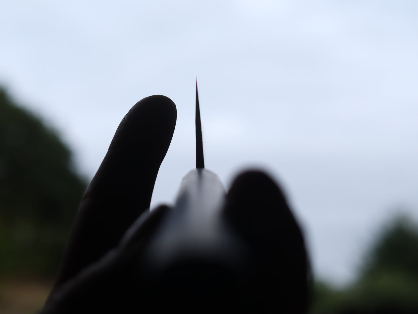Gyuto