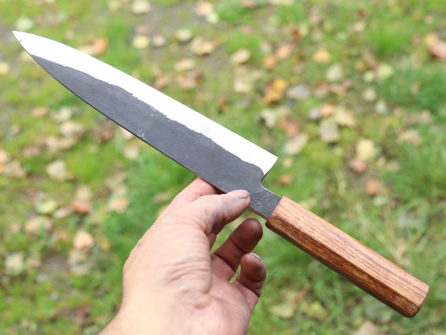 gyuto 220mm