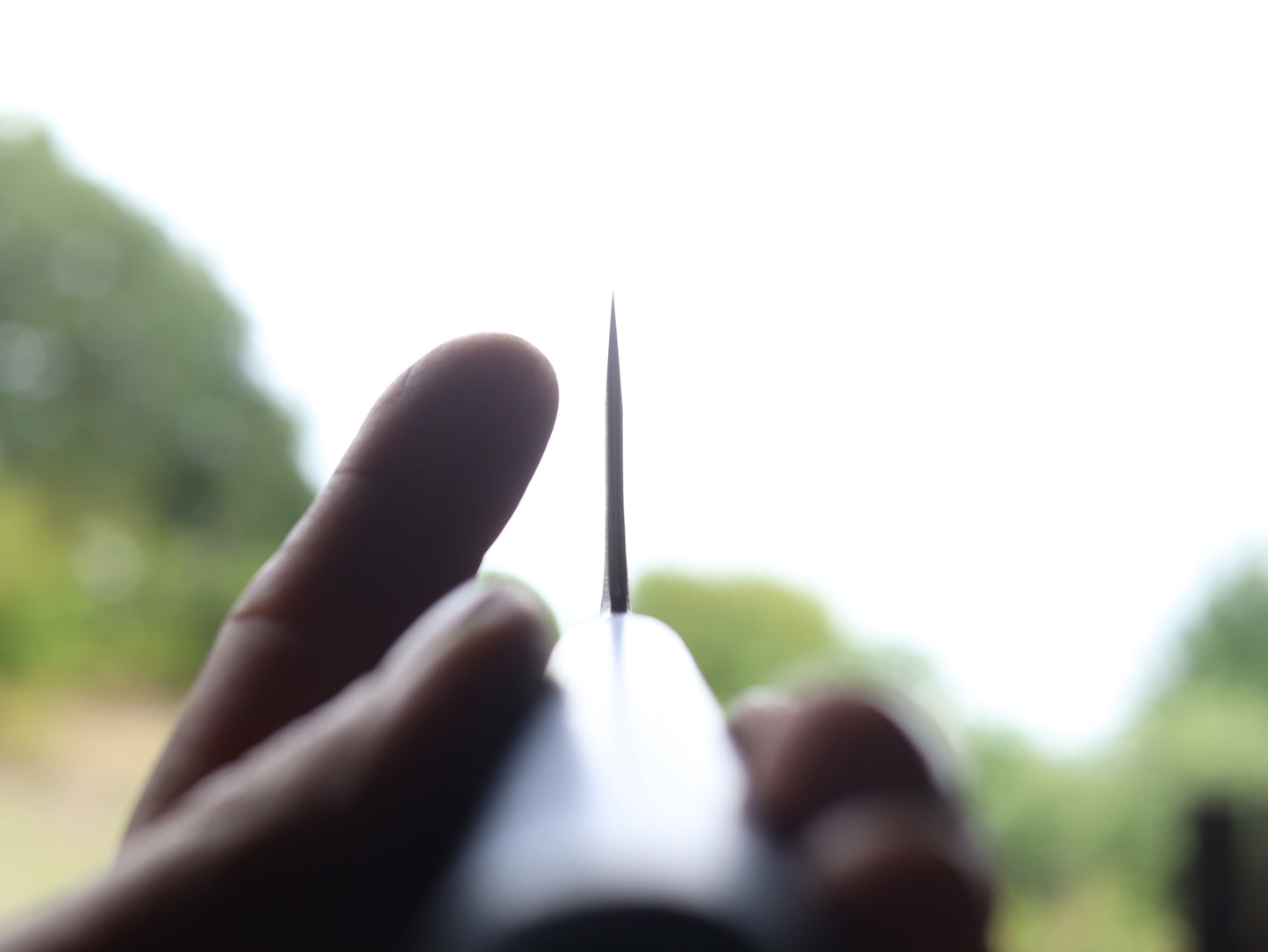 Gyuto