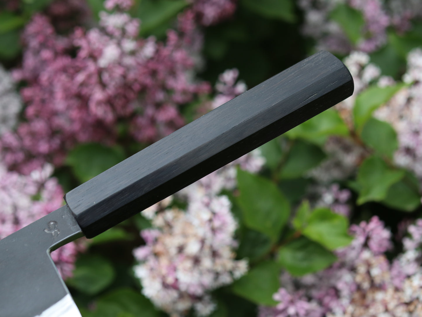 Gyuto 260mm