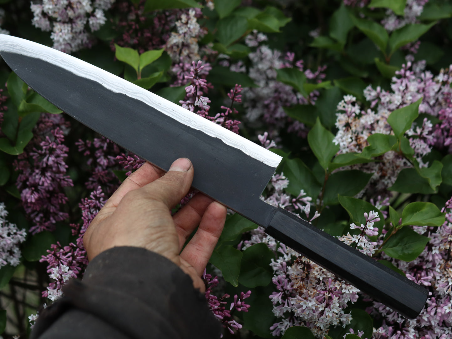 Gyuto 260mm