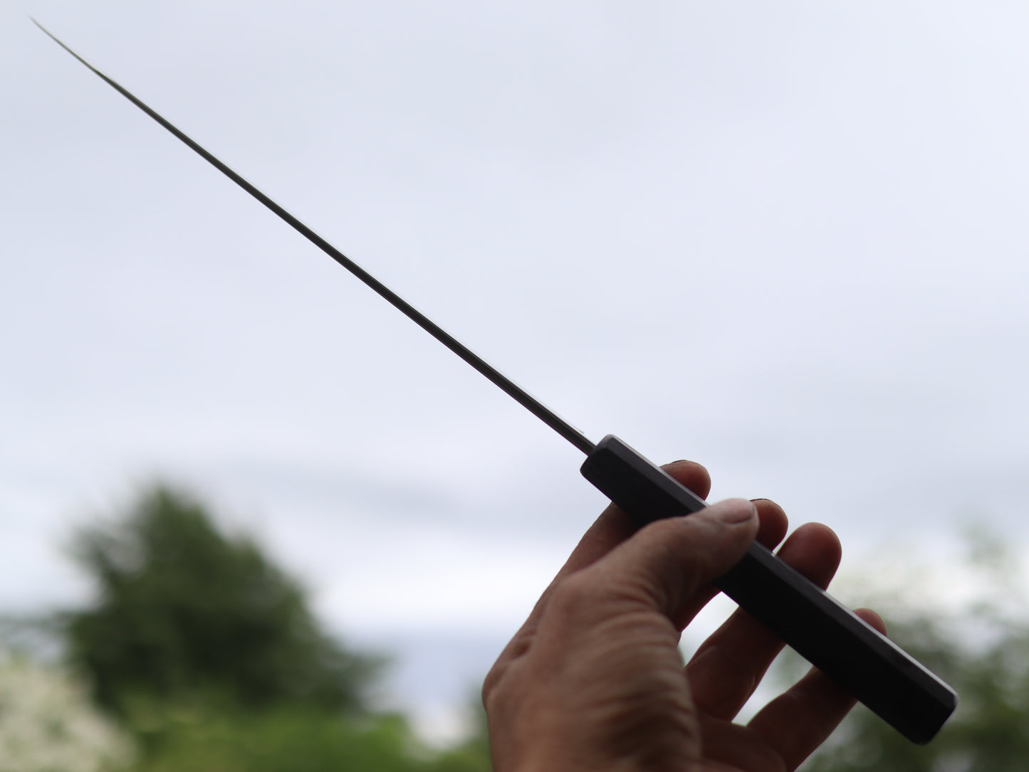 Gyuto 245mm