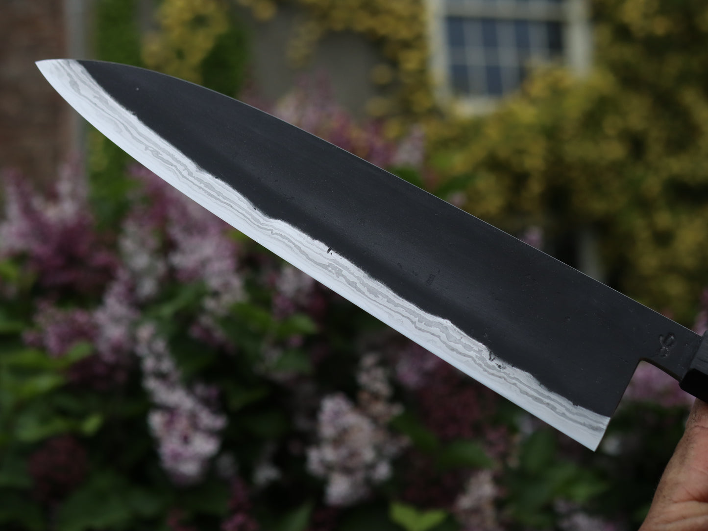 Gyuto 260mm