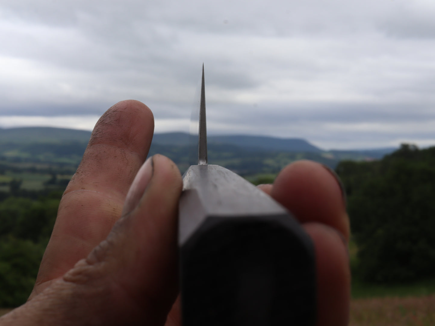 Gyuto 230mm