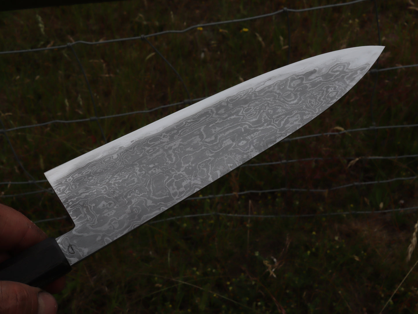 Gyuto 230mm