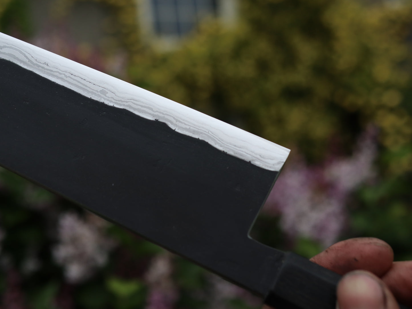 Gyuto 260mm
