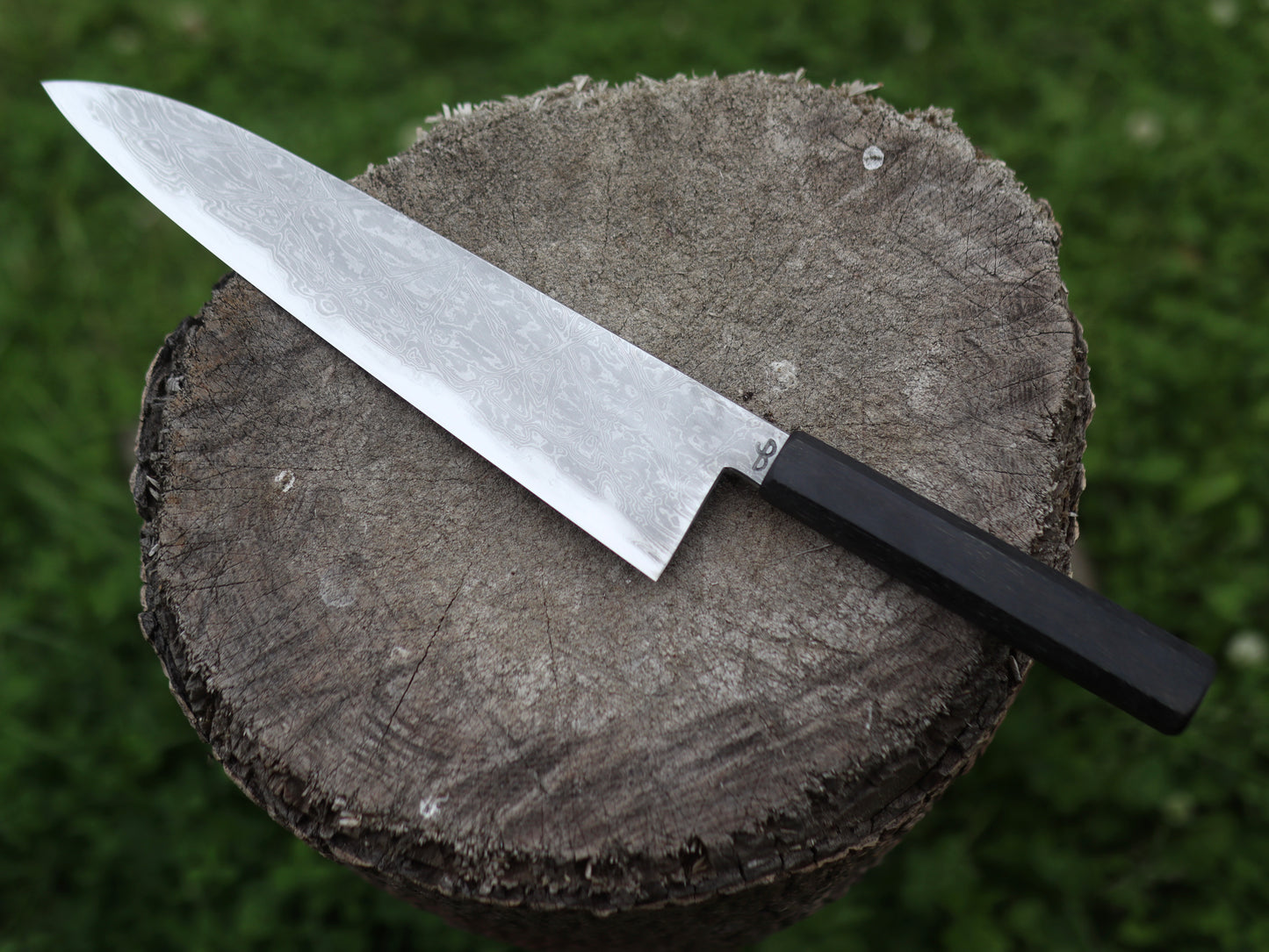 Gyuto 245mm
