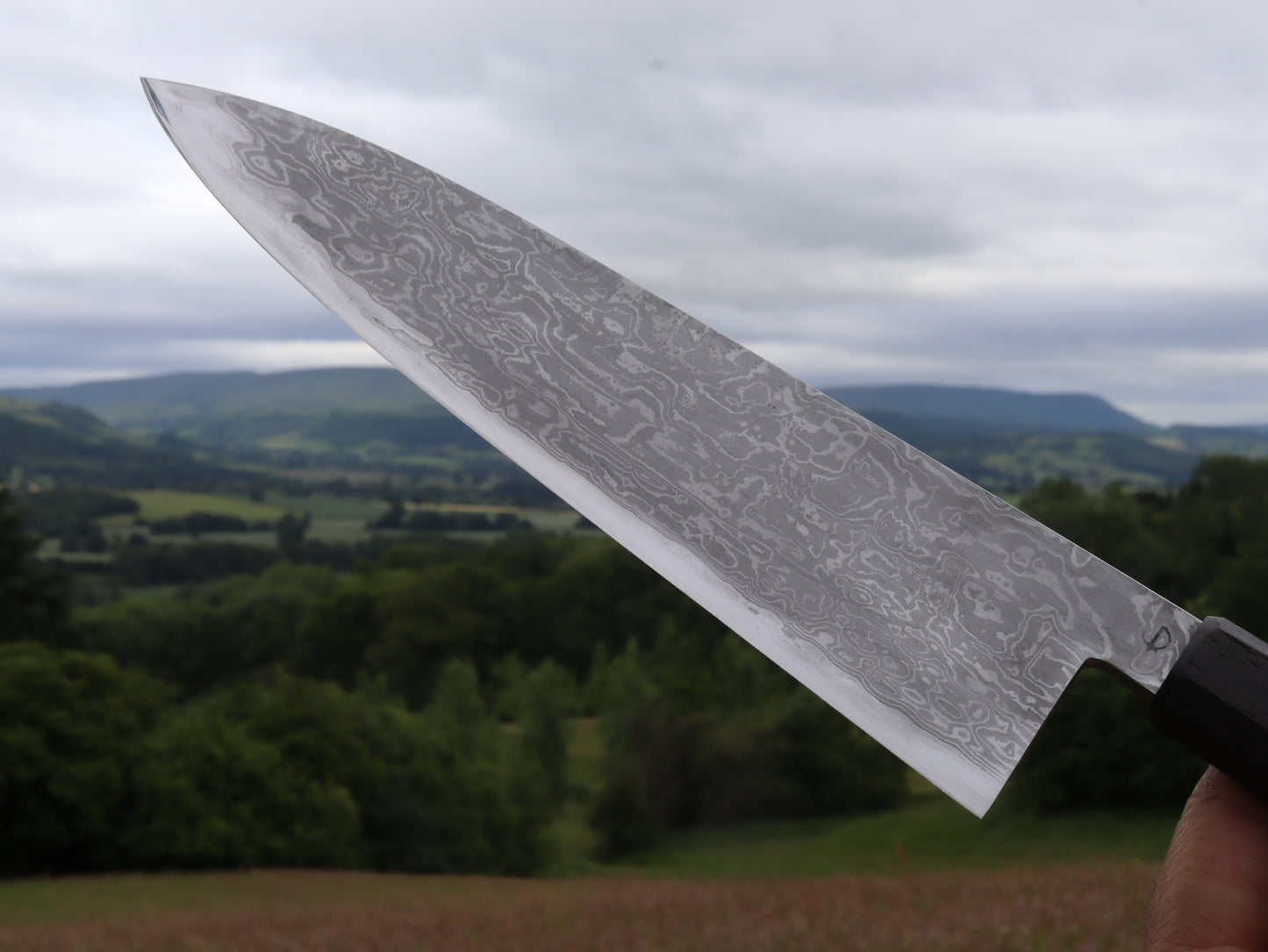 Gyuto 230mm