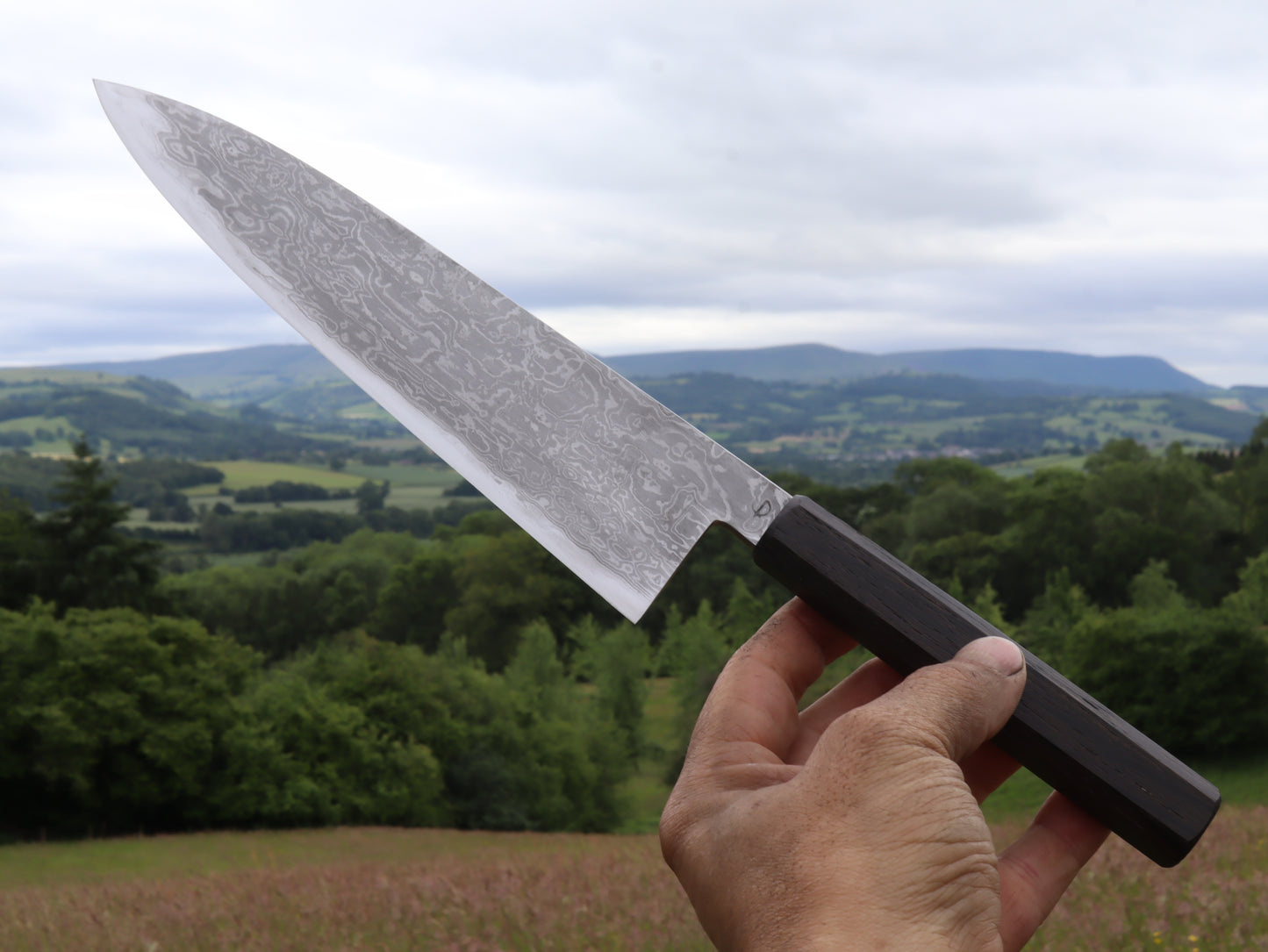 Gyuto 230mm