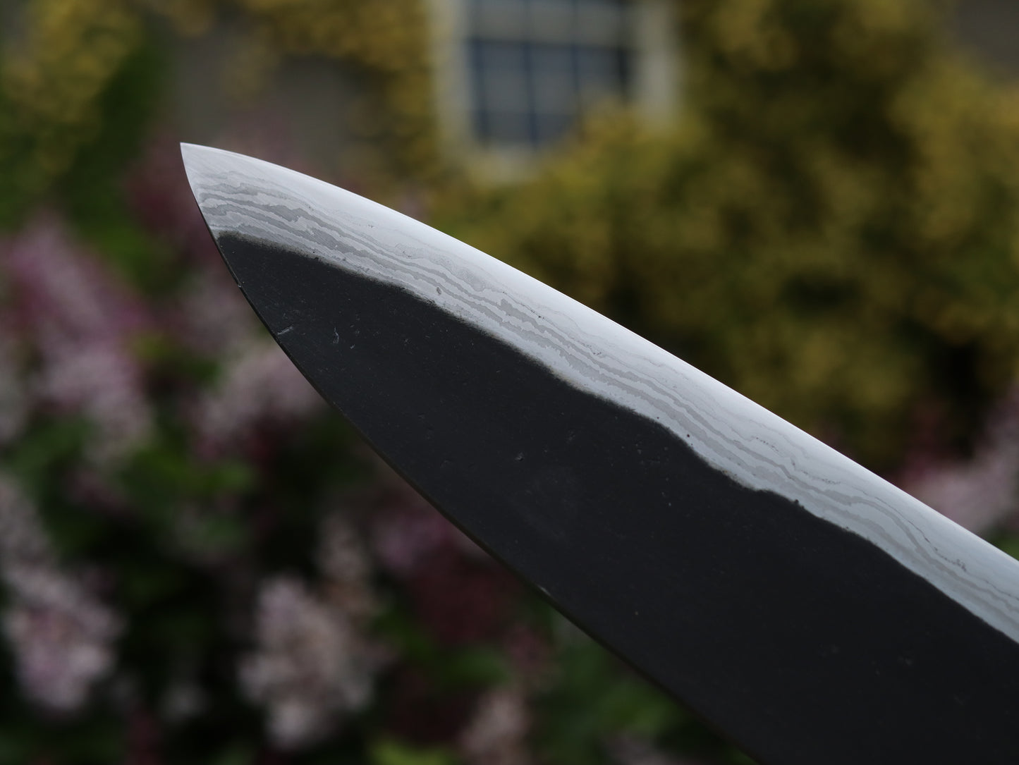 Gyuto 260mm