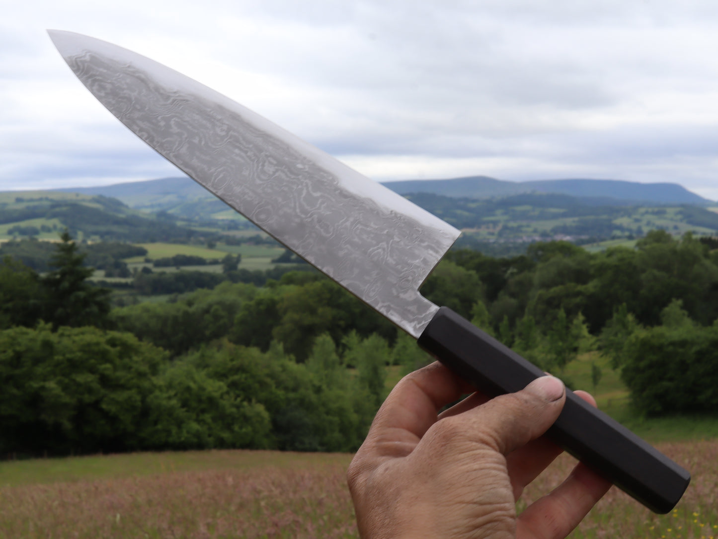 Gyuto 230mm