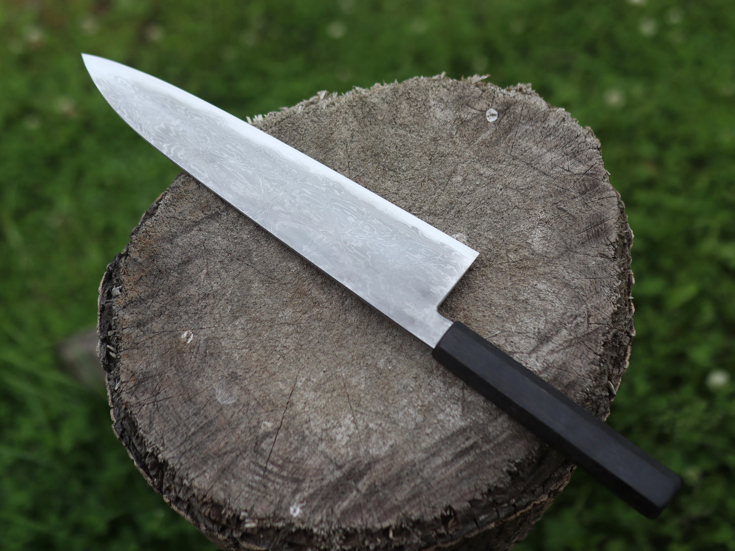 Gyuto 245mm