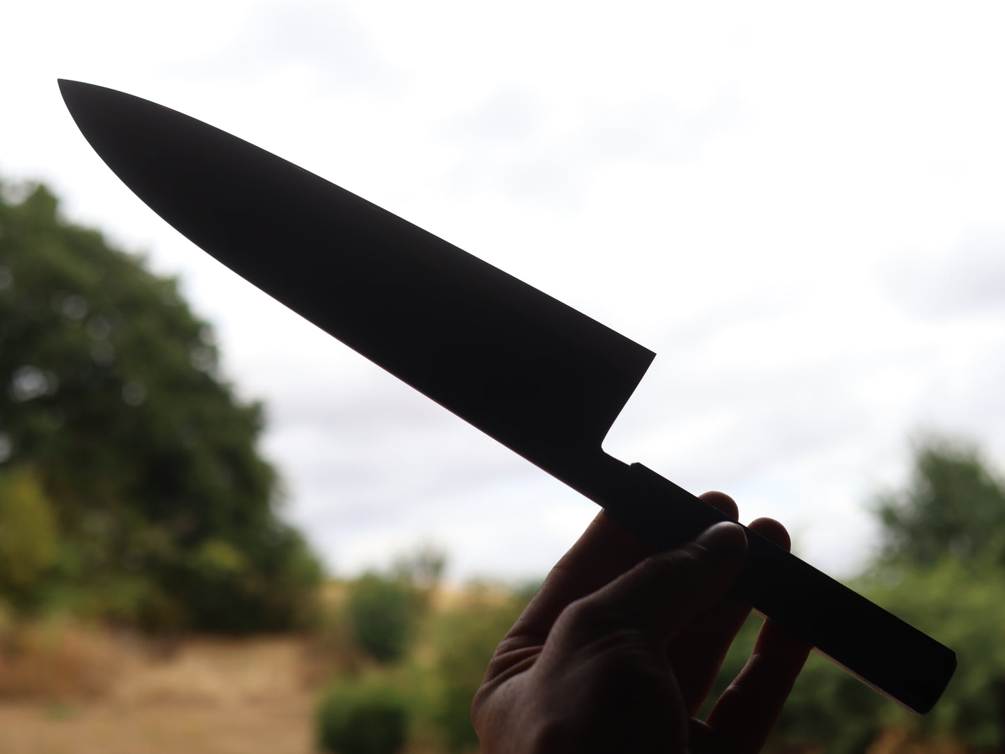 Gyuto 235mm