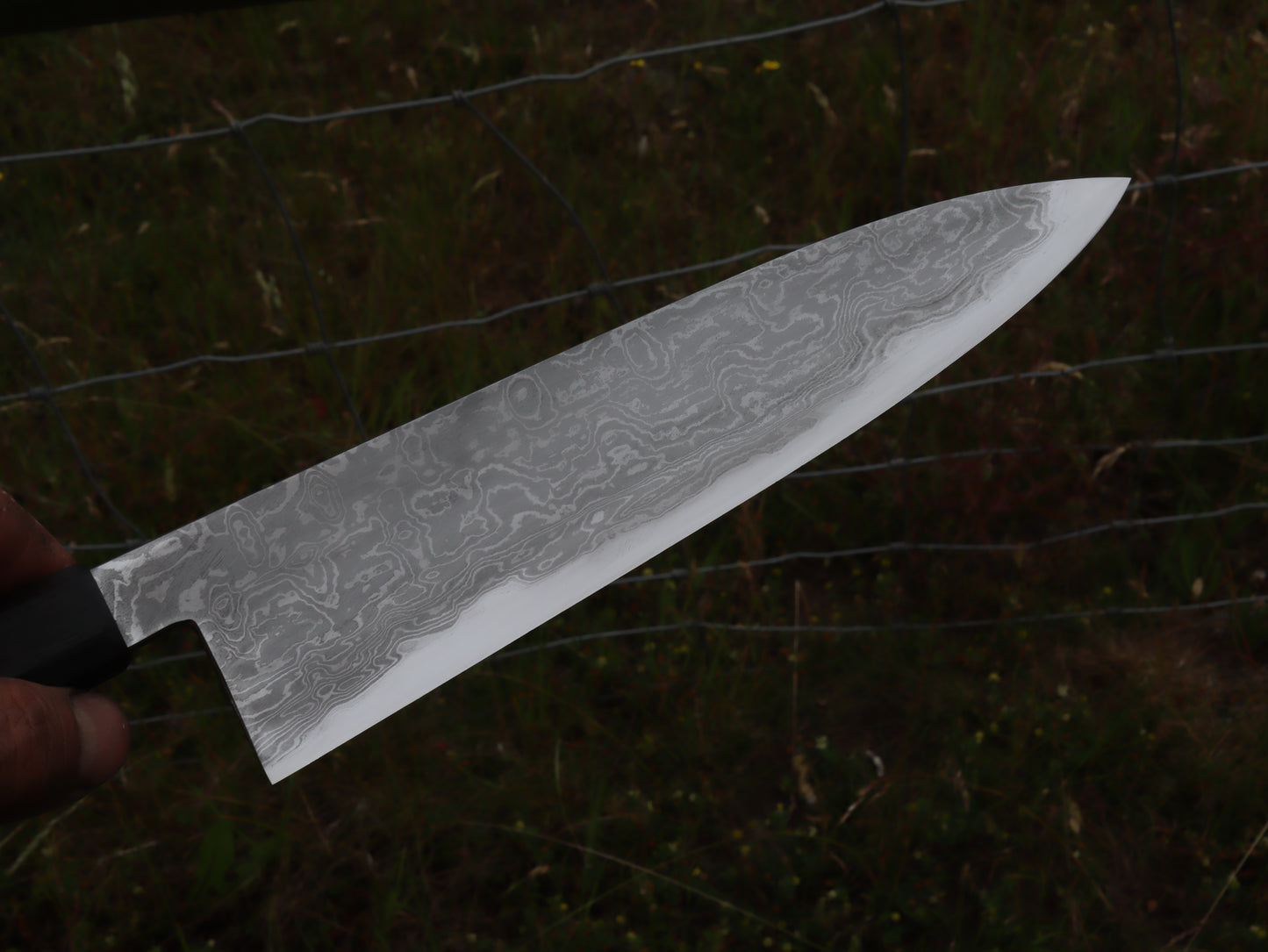Gyuto 230mm