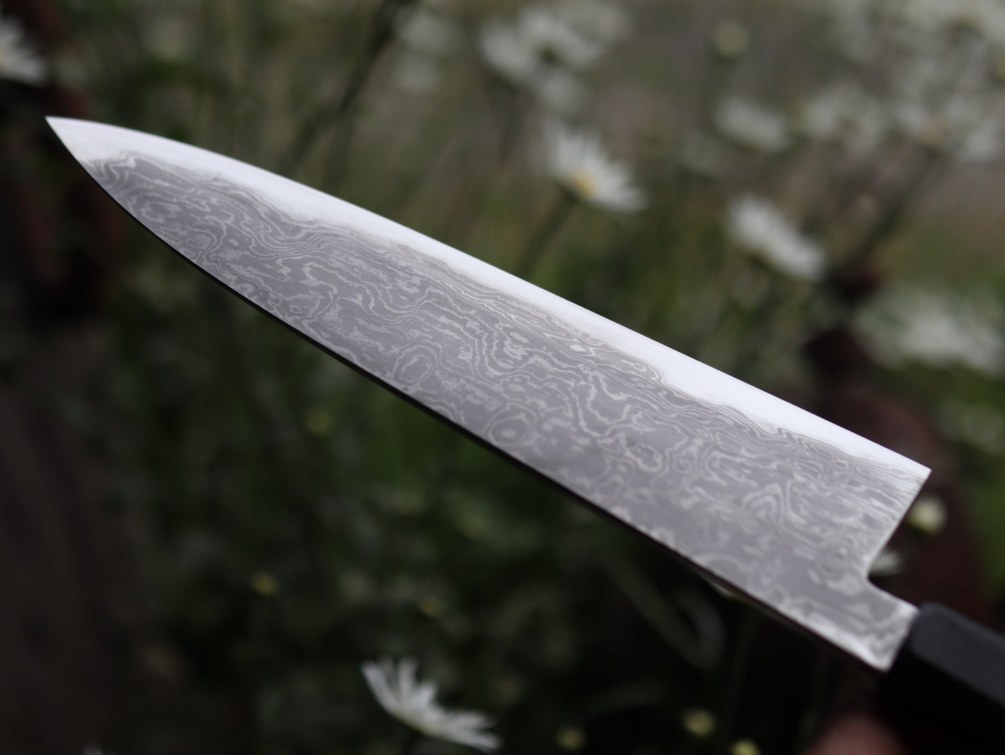 Gyuto 230mm