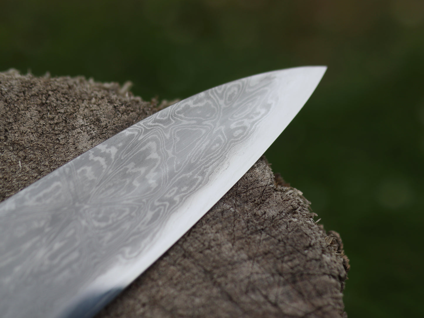 Gyuto 245mm