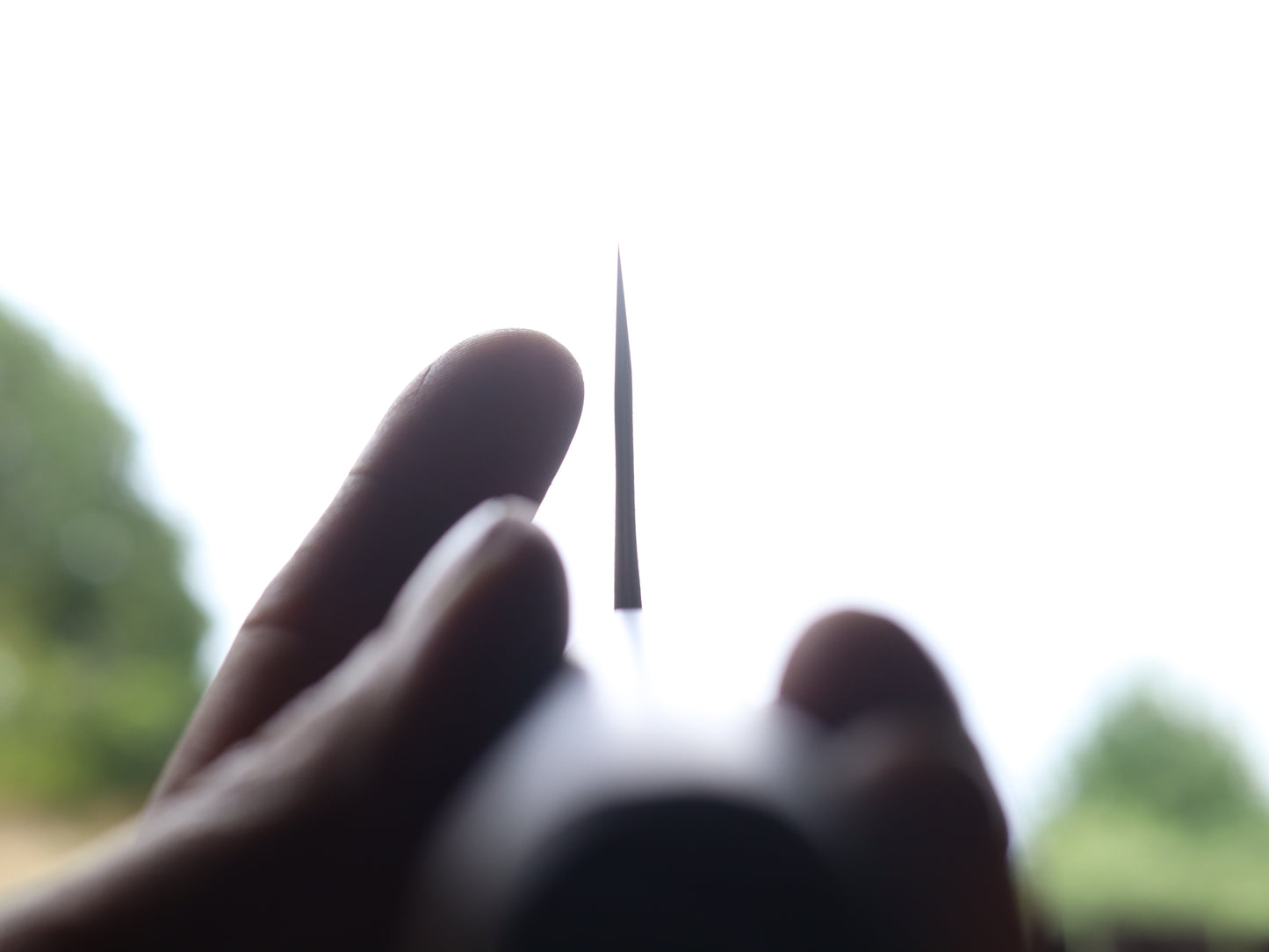 Gyuto