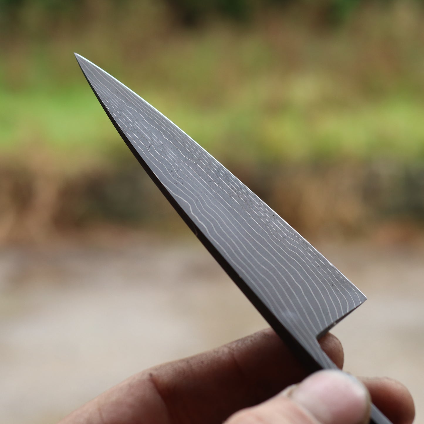 Steak knife