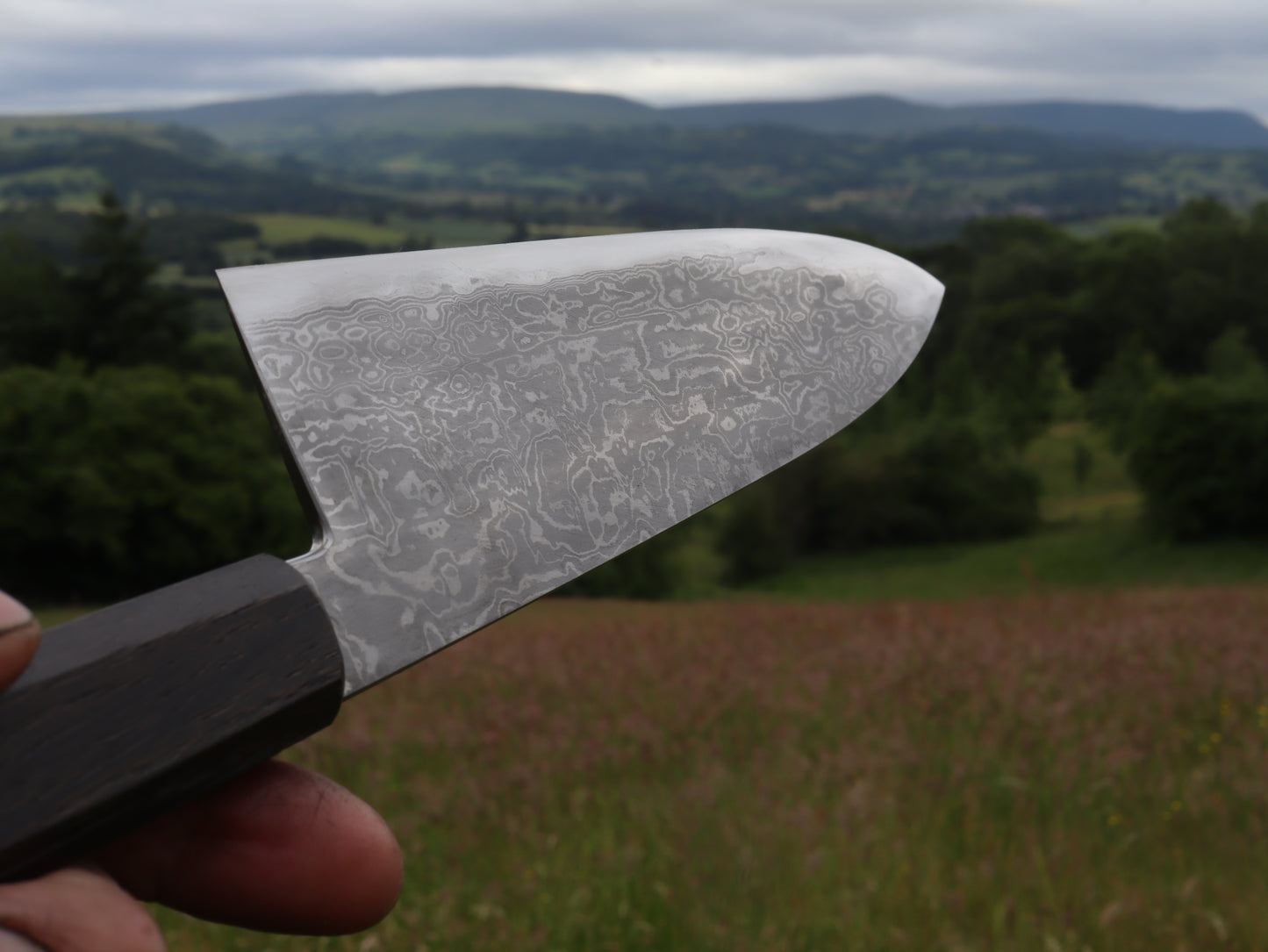 Gyuto 230mm