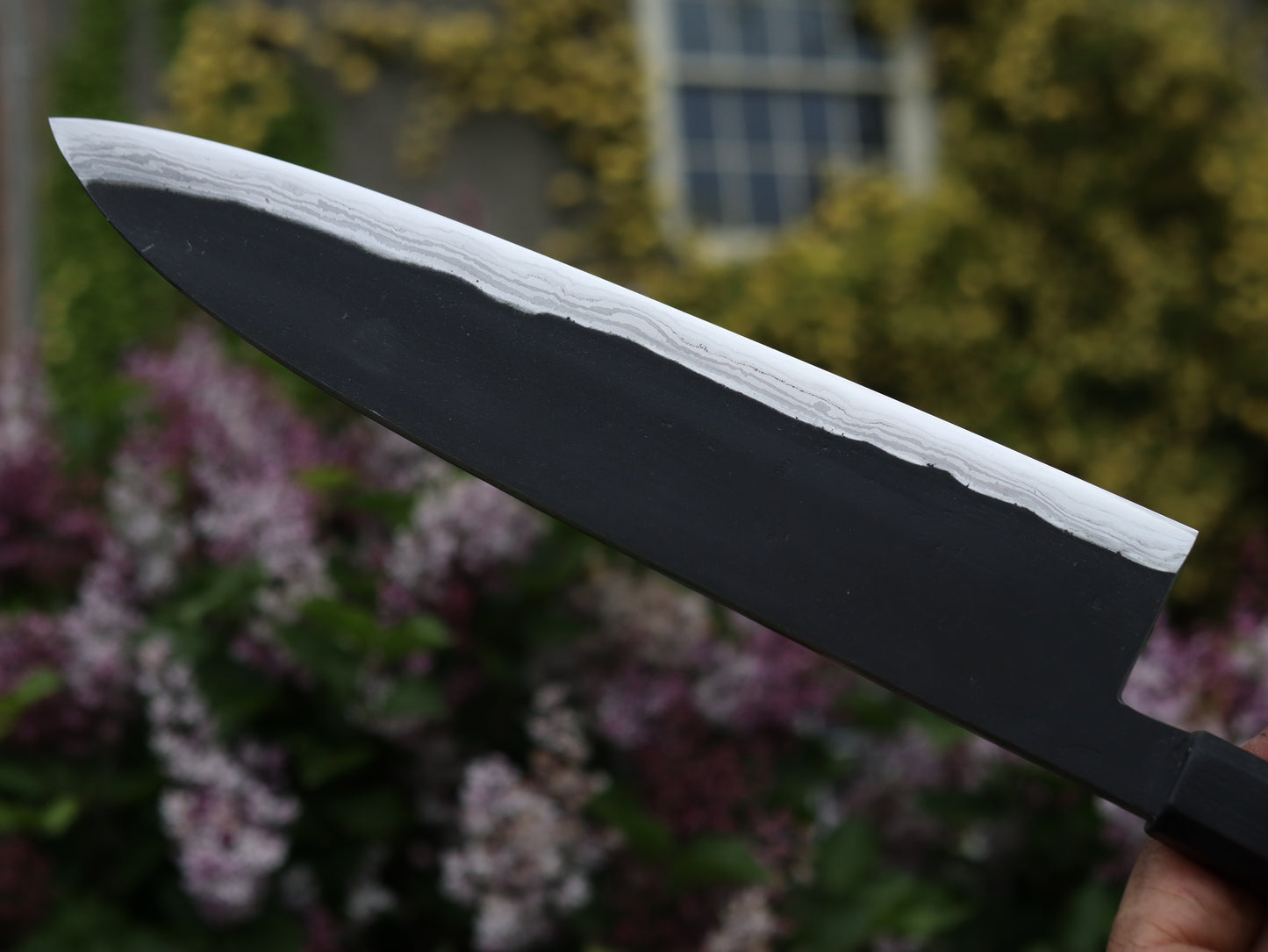 Gyuto 260mm