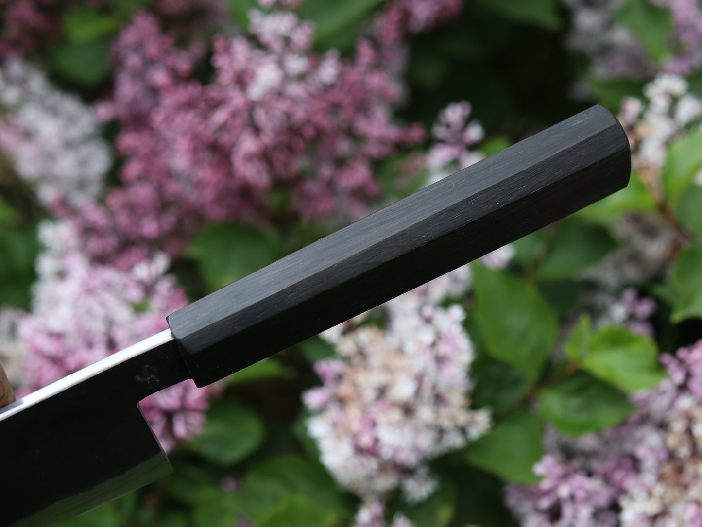 Gyuto 260mm