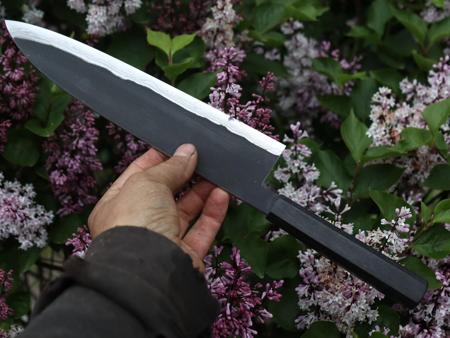 Gyuto 260mm
