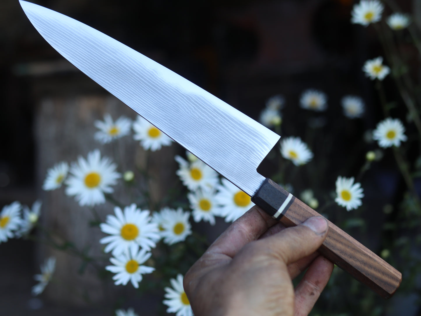 Side stack gyuto