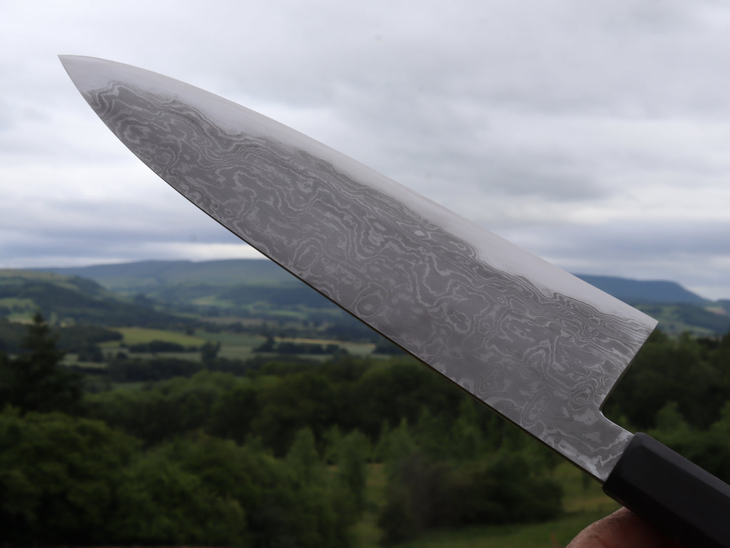 Gyuto 230mm