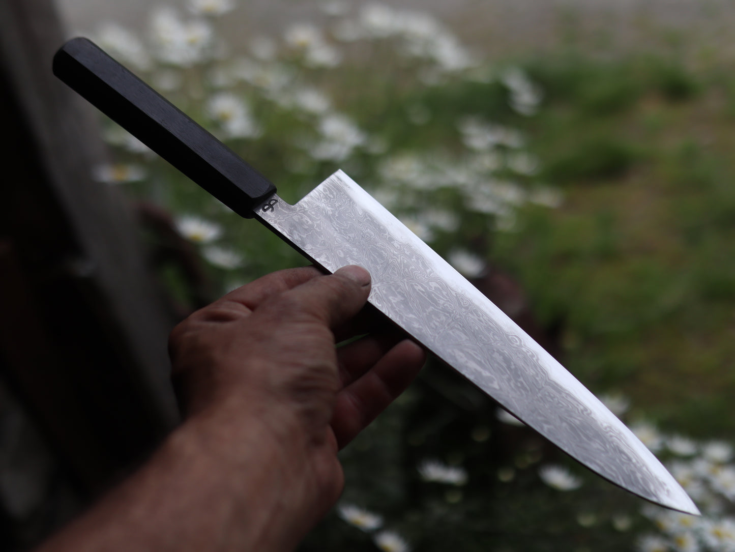 Gyuto 245mm