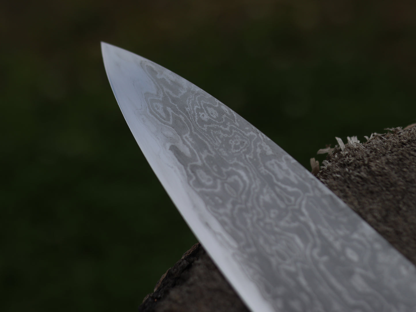 Gyuto 230mm