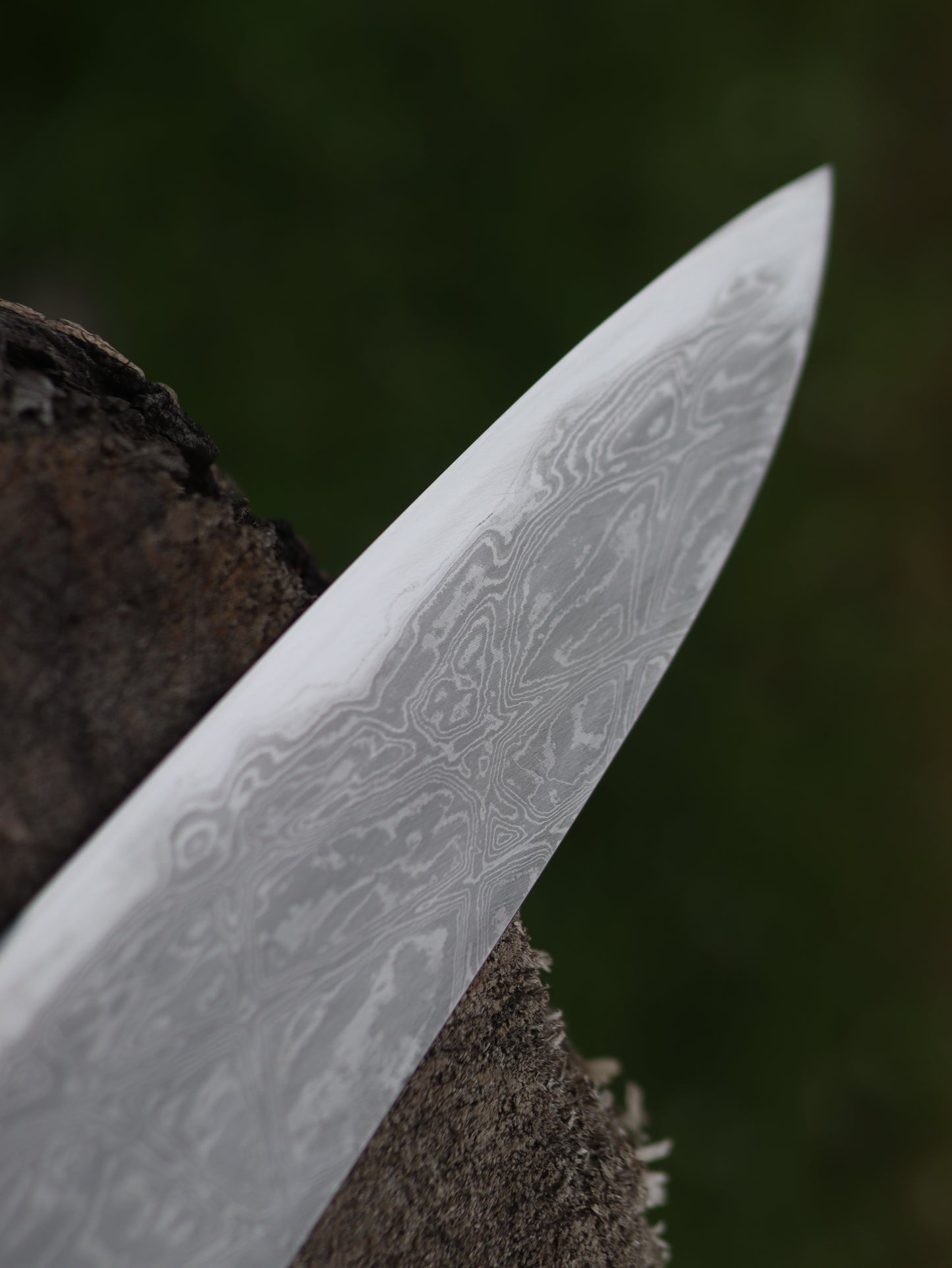 Gyuto 245mm