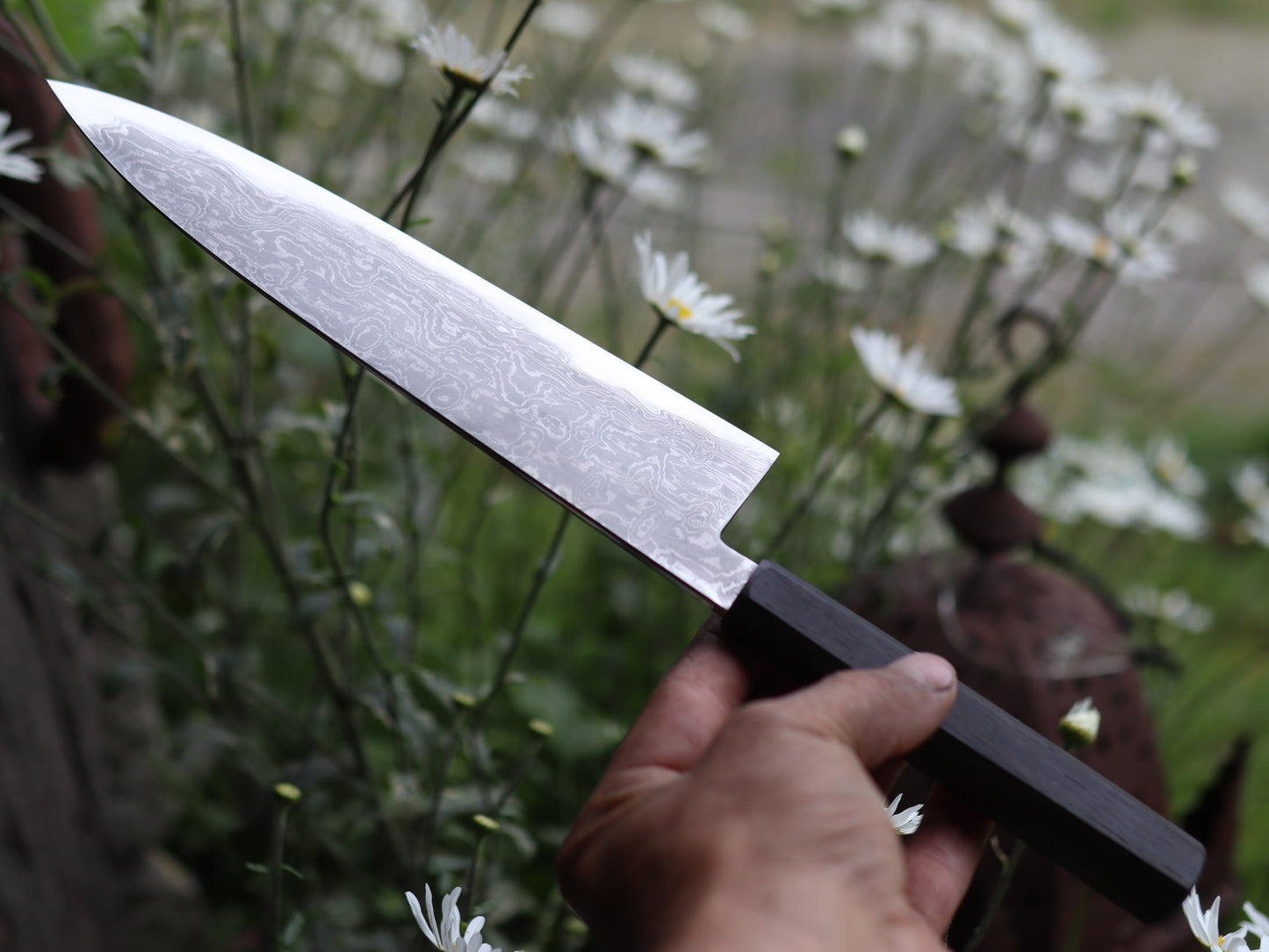 Gyuto 230mm